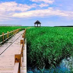 吉林牛心套保国家湿地公园