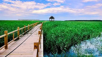 吉林牛心套保国家湿地公园