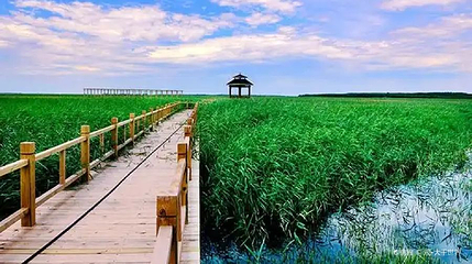 吉林牛心套保国家湿地公园第 1 张图片