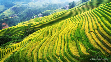 金佛顶3号观景台