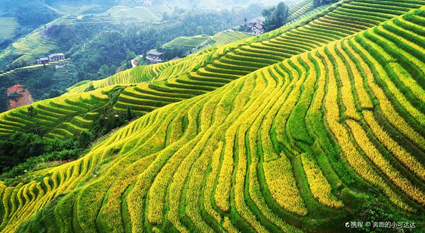 金佛顶3号观景台