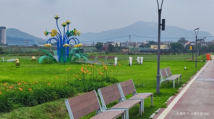 水仙花海第 1 张图片