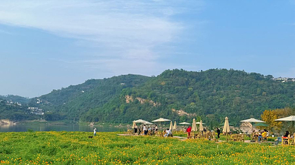 木洞中坝岛第 1 张图片