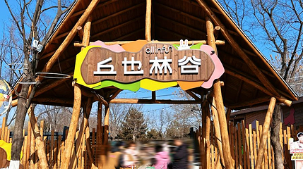 丘也林谷第 1 张图片