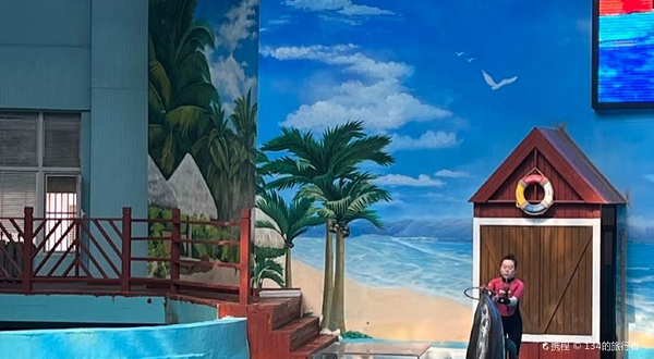 兰州中心海底世界(兰州中心店)