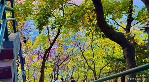 信号山公园-连心天桥