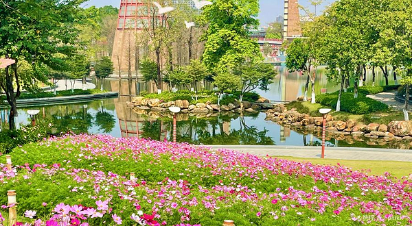 千灯湖公园北区