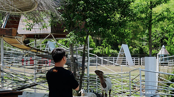 布布熊生态农场