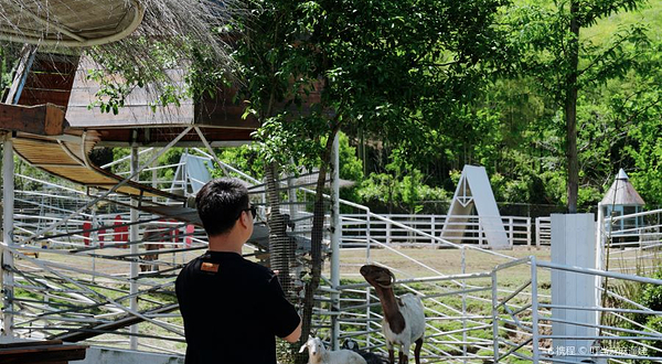 布布熊生态农场