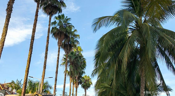 勐仑旅游度假区