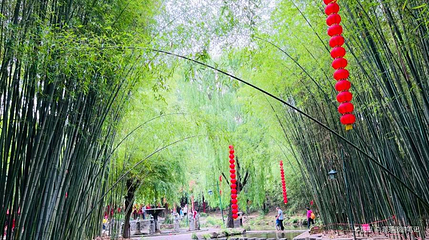 沂南县博物馆第 1 张图片