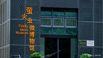 萤火虫微博物馆