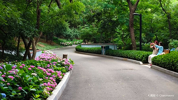 青岛中山公园-花溪谷