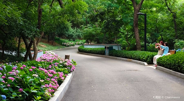青岛中山公园-花溪谷