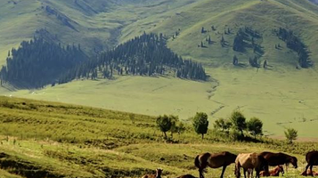 温泉克鲁格营地