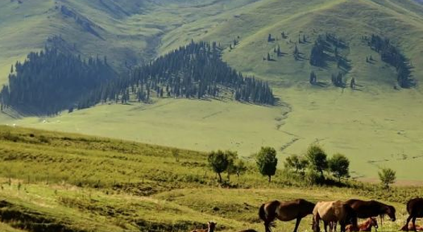 温泉克鲁格营地