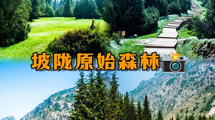 坡陇原始森林风景区第 1 张图片