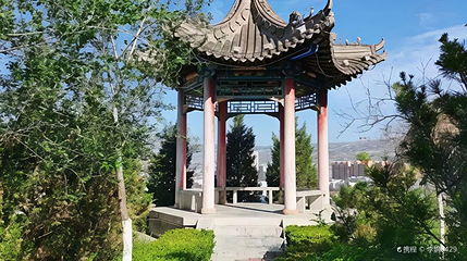 凤山森林公园第 1 张图片