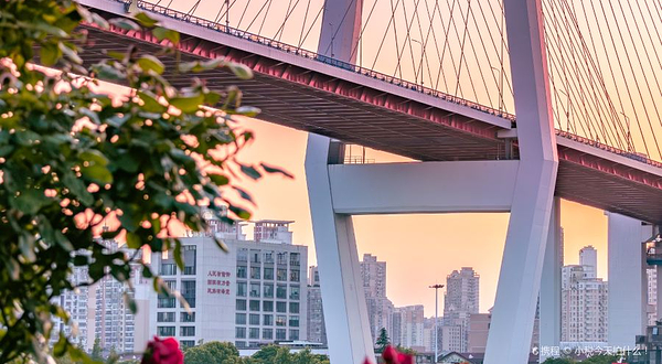 东江文体公园运动中心