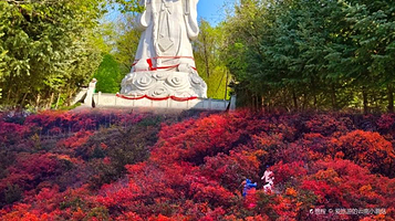 长寿山国家森林公园