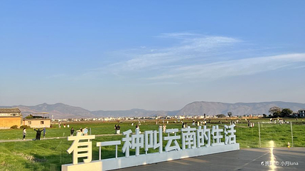 喜洲麦田第 1 张图片