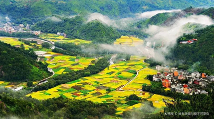 杨庄村第 1 张图片