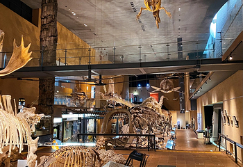 Kitakyushu Museum of Natural History & Human History第 1 张图片