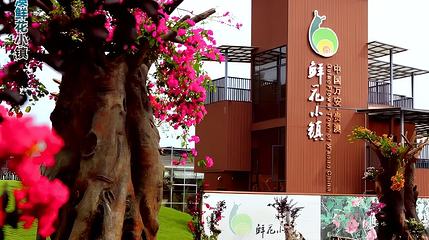 万安鲜花小镇第 1 张图片