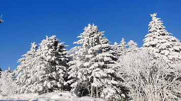 大箐山森林公园