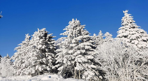 大箐山森林公园