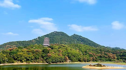 大王山第 1 张图片