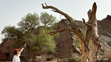 天山托木尔大峡谷