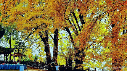 蒙顶山风景名胜区-观景台第 1 张图片