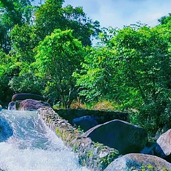 金沙水漂流