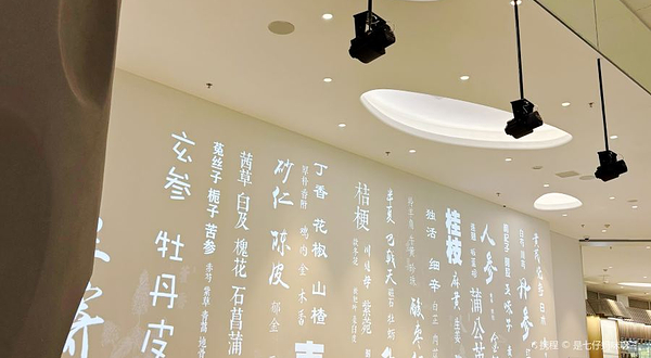 中医药文化体验馆