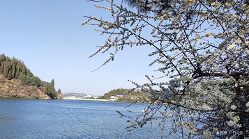 三月三森林公园