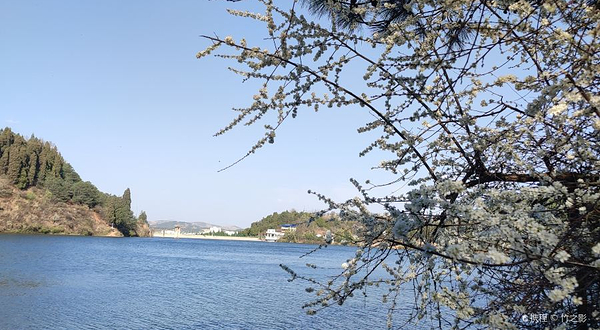 三月三森林公园