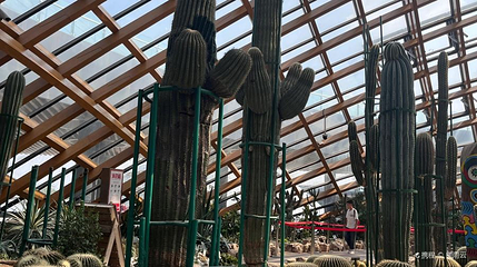 太原植物园-沙生植物馆第 1 张图片