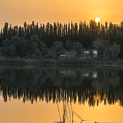 尼雅湾湿地公园