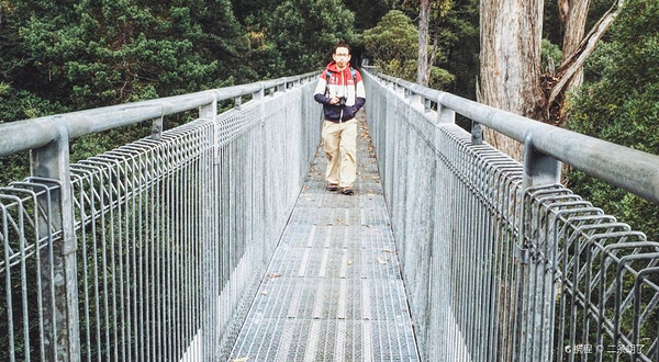 塔胡恩空中走道