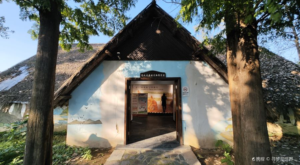 龙虬庄遗址博物馆