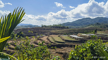 牙胡梯田景区