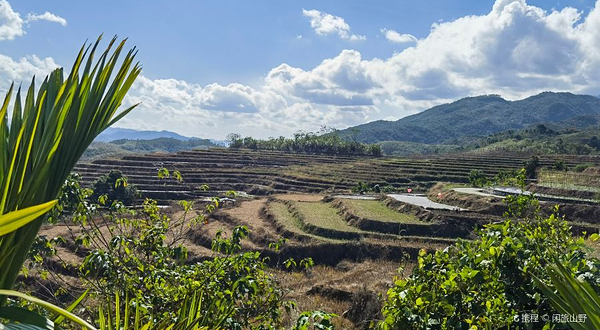 牙胡梯田景区