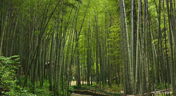 萧绍古道(绍兴段)