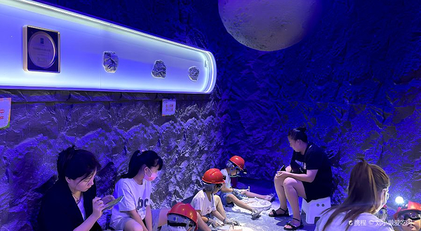 挖挖森林·考古乐园