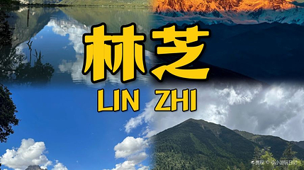 林芝自然博物馆第 1 张图片