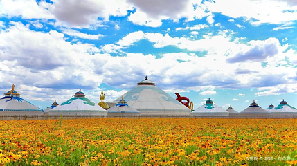 希拉穆仁花海景区第 1 张图片