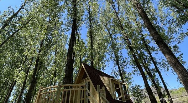 东水源休闲农业综合体