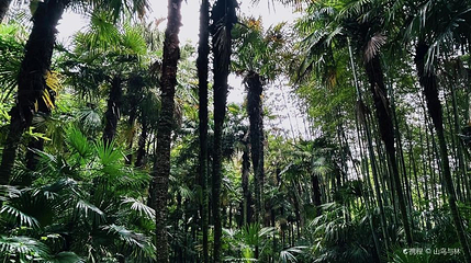 西山风景区-南充市植物园第 1 张图片