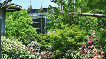 成都世园会郫都分会场